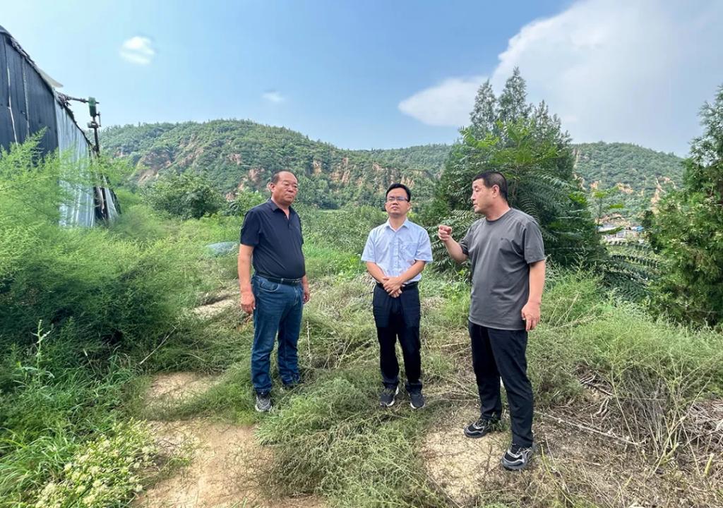 尊龙凯时人生就是博·「中国」官方网站