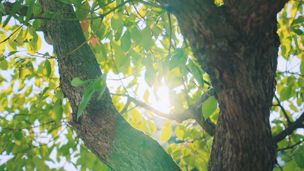 尊龙凯时人生就是博·「中国」官方网站