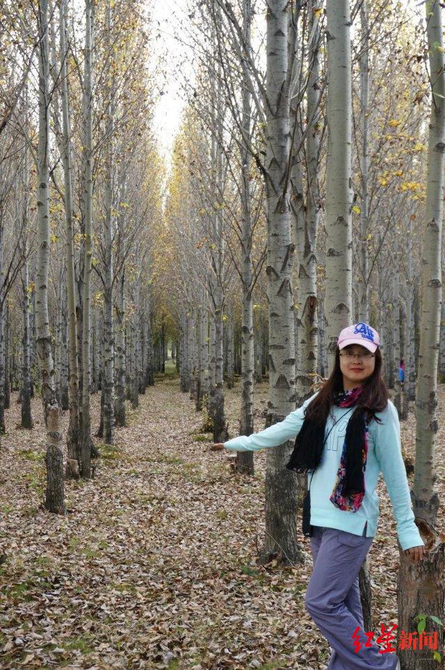 与成都，向未来 | 成都首批“产业建圈强链人才计划”入选者董娜：12年青春，同“城”发展