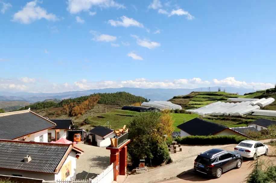 尊龙凯时人生就是博·「中国」官方网站