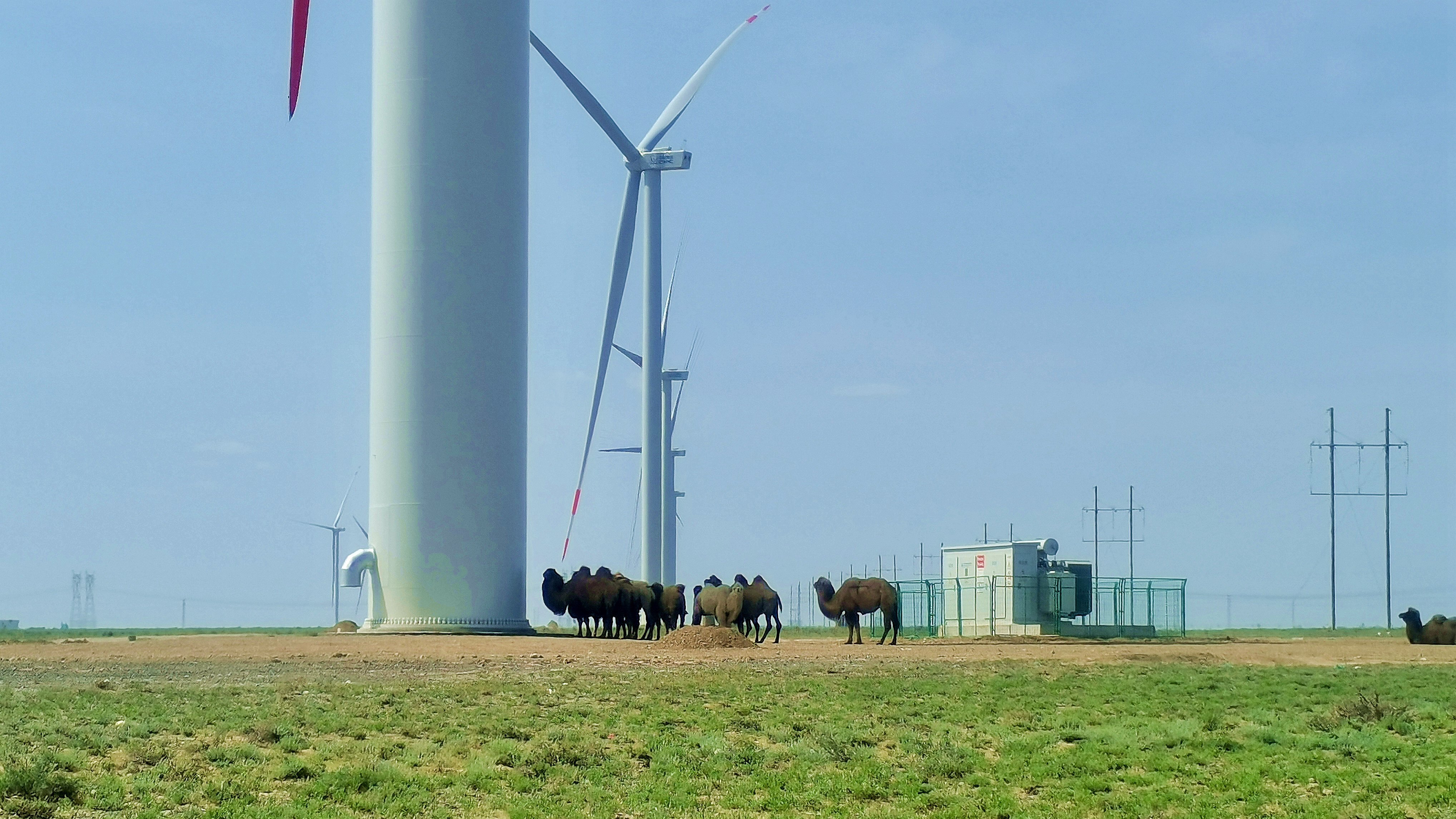 尊龙凯时人生就是博·「中国」官方网站