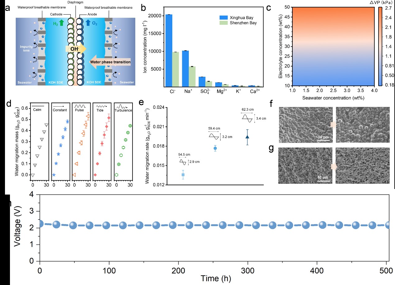 尊龙凯时人生就是博·「中国」官方网站