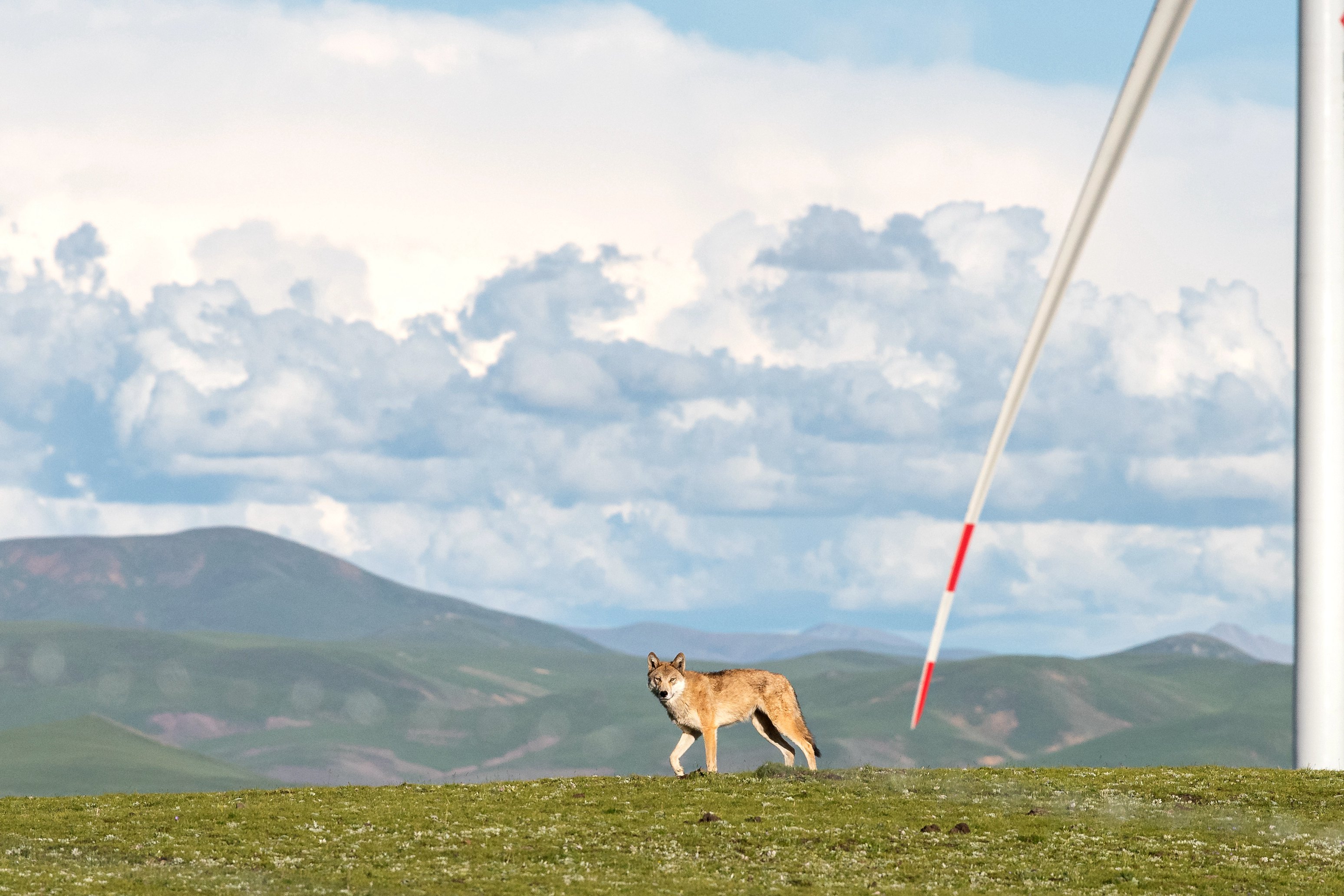尊龙凯时人生就是博·「中国」官方网站
