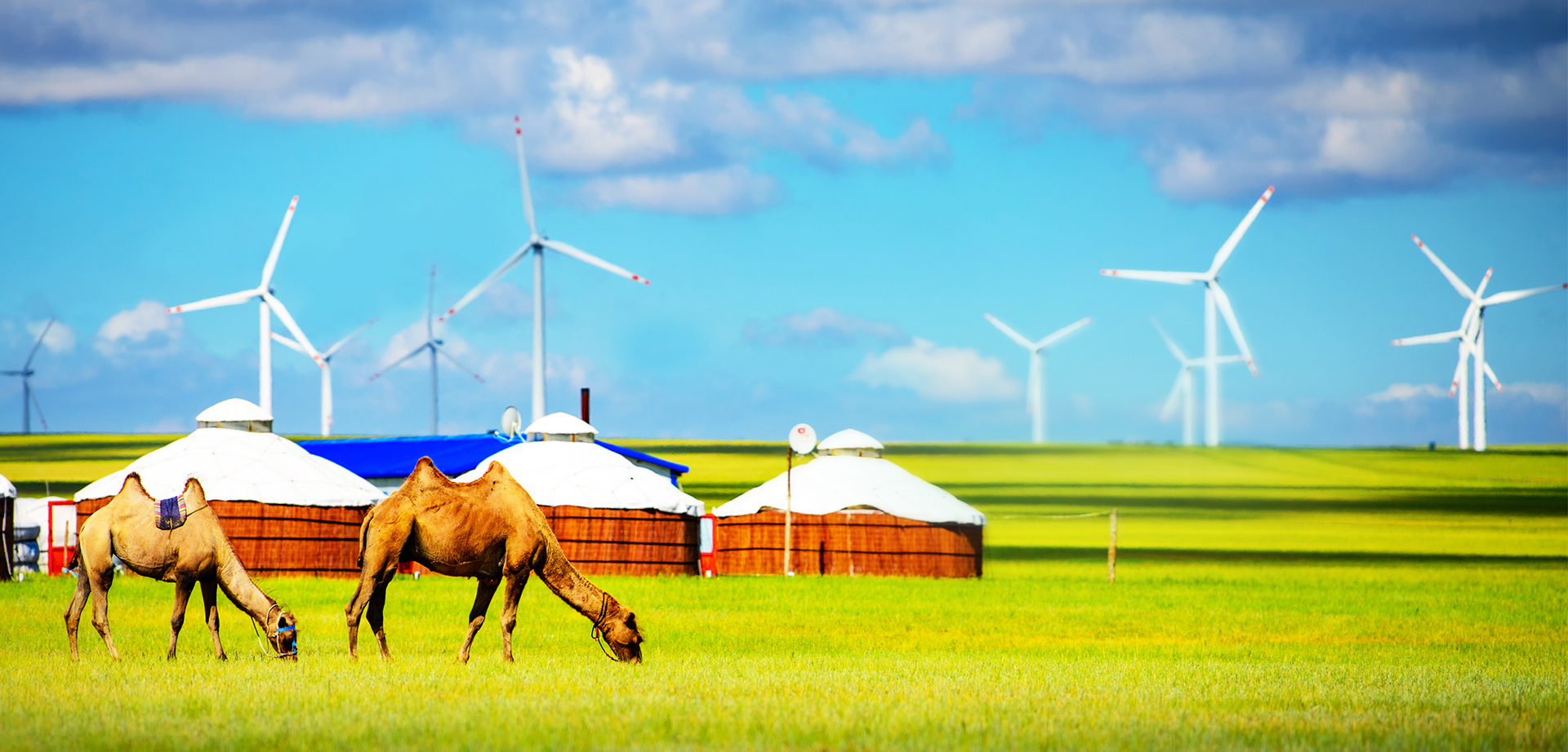 尊龙凯时人生就是博·「中国」官方网站