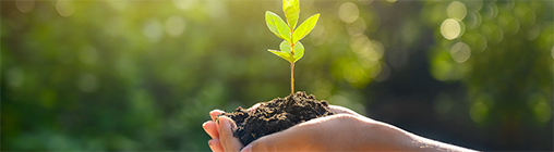 尊龙凯时人生就是博·「中国」官方网站